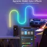 Govee Neon LED Strip Light - WiFi et Bluetooth  - 12