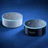 Baffle Amazon Echo Dot 2nd Gén  - 5