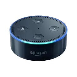 Baffle Amazon Echo Dot 2nd Gén  - 3