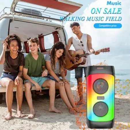 Enceinte Bluetooth - ZQS4246 - 2