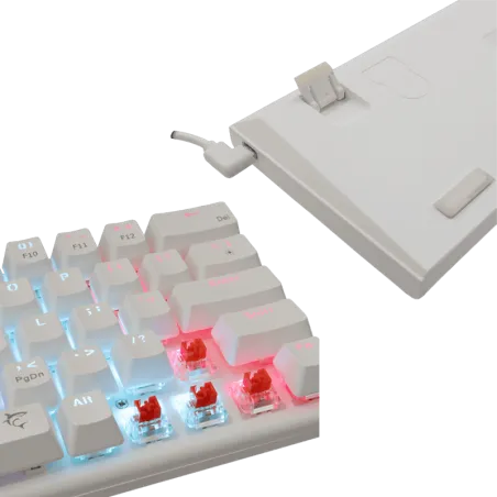 Clavier Wakizashi Red Switch - 60% - White Shark - Blanc