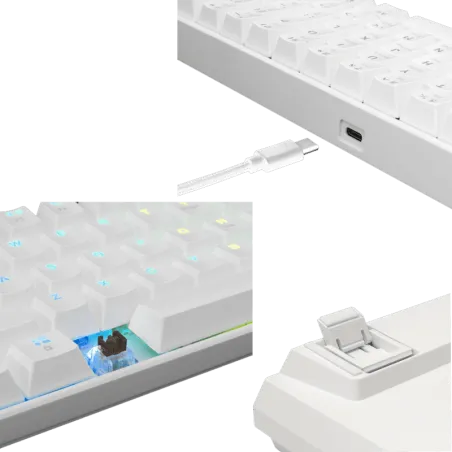Clavier Shinobi Brown Switch - 60% - White Shark - Blanc
