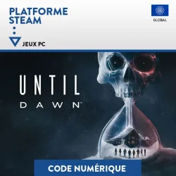 Until Dawn
