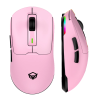 Souris de jeu sans fil avec RVB Meetion - Air GW24
