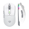 Souris de jeu sans fil avec RVB Meetion - Air GW24