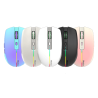 Souris Sans Fil 2,4 G et Bluetooth Meetion -BTM002