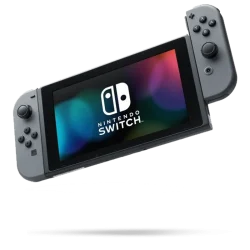 Nintendo Switch - Gris
