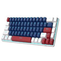 Clavier Magegee MK-Box RGB Bleu et Blanc 65% - Switch Blue