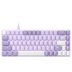 Clavier Magegee MK-Box RGB Violet 65% - Switch Red