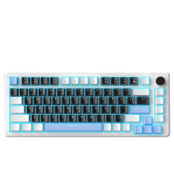Clavier Magegee MK-Star75 RGB Noir et Blanc 75% - Switch Black