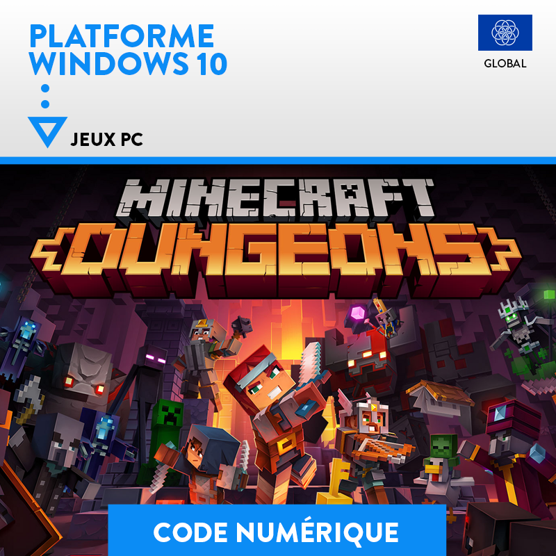 Minecraft Dungeons Hero Edition - Nintendo Switch - Achat jeux