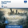 Hogwarts Legacy : L'Héritage de Poudlard  - 1