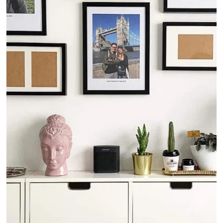 Baffle Bose Soundlink Color II - 7